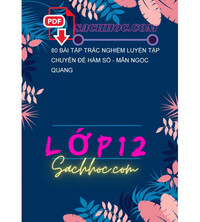 Tải 80 bài tập trắc nghiệm luyện tập chuyên đề hàm số - Mẫn Ngọc Quang