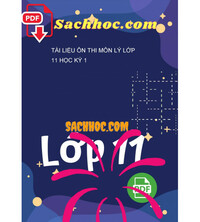 Tải Tài Liệu Ôn Thi Môn Lý Lớp 11 Học Kỳ 1