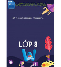 Tải Đề thi học sinh giỏi toán lớp 8