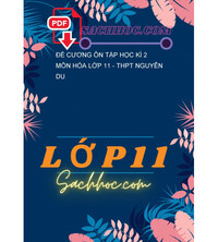 Tải Đề cương ôn tập học kì 2 môn Hóa lớp 11 - THPT Nguyễn Du