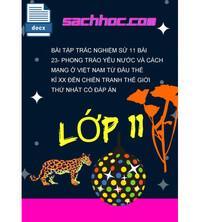 Tải Bài Tập Trắc Nghiệm Sử 11 Bài 23- Phong trào yêu nước và cách mạng ở Việt Nam từ đầu thế kỉ XX đến chiến tranh thế giới thứ nhất có đáp án