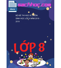 Tải Bộ đề thi học kì 2 môn Sinh học lớp 8 năm 2018 - 2019