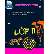 Tải Đề kiểm tra 1 tiết môn sinh học lớp 11 mã 132