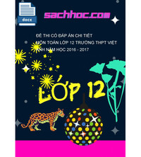 Tải Đề thi có đáp án chi tiết môn toán lớp 12 trường THPT Việt anh năm học 2016 - 2017
