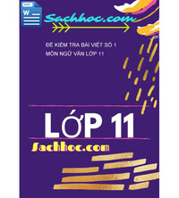 Tải Đề kiểm tra bài viết số 1 môn ngữ văn lớp 11