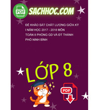 Tải Đề khảo sát chất lượng giữa kỳ I năm học 2017 - 2018 môn Toán 8 phòng GD và ĐT thành phố Ninh Bình