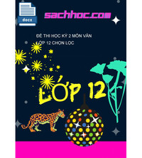 Tải Đề thi học kỳ 2 môn Văn lớp 12 chọn lọc