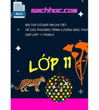 Tải Bài tập có đáp án chi tiết về các phương trình lượng giác thường gặp lớp 11 phần 8