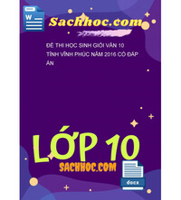 Tải Đề Thi Học Sinh Giỏi Văn 10 Tỉnh Vĩnh Phúc Năm 2016 Có Đáp Án