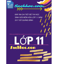 Tải Đáp án chi tiết đề thi học sinh giỏi môn Hóa lớp 11 năm 2017 sở quảng bình