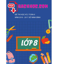 Tải Đề thi học kì 2 Toán 8 năm 2016 - 2017 sở Ninh Bình