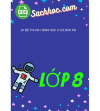 Tải 20 Đề Thi HK1 Sinh Học 8 Có Đáp Án