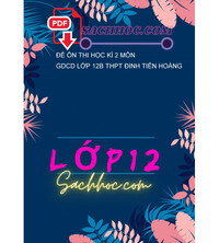 Tải Đề ôn thi học kì 2 môn GDCD lớp 12B THPT Đinh Tiên Hoàng