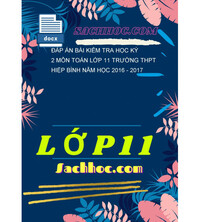 Tải Đáp án bài kiểm tra học kỳ 2 môn toán lớp 11 trường THPT Hiệp bình năm học 2016 - 2017