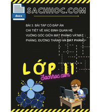 Tải Bài 3. Bài tập có đáp án chi tiết về xác định quan hệ vuông góc giữa mặt phẳng và mặt phẳng, đường thẳng và mặt phẳng