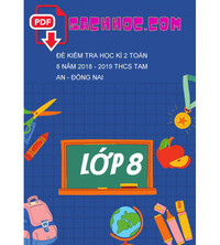 Tải Đề kiểm tra học kì 2 Toán 8 năm 2018 - 2019 THCS Tam An - Đồng Nai