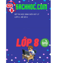 Tải Đề thi học sinh giỏi Vật lý lớp 8 - Đề số 6