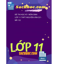 Tải Đề thi học kì 1 môn Sinh lớp 11 THPT nguyễn Văn cừ - Mã 132