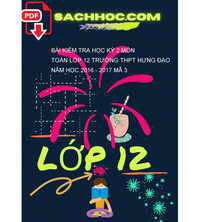 Tải Bài kiểm tra học kỳ 2 môn Toán lớp 12 trường THPT Hưng đạo năm học 2016 - 2017 mã 3