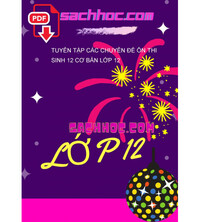 Tải Tuyển tập các chuyên đề ôn thi sinh 12 cơ bản lớp 12
