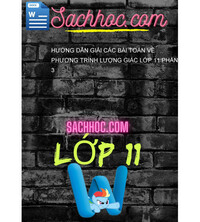 Tải Hướng dẫn giải các bài toán về phương trình lượng giác lớp 11 phần 3