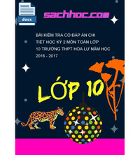 Tải Bài kiểm tra có đáp án chi tiết học kỳ 2 môn Toán lớp 10 trường THPT hoa lư năm học 2016 - 2017