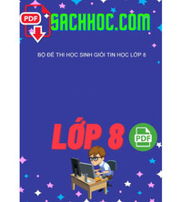 Tải Bộ đề thi học sinh giỏi tin học lớp 8
