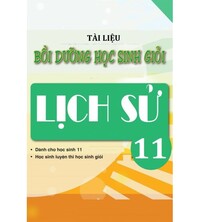 Tải Tài liệu bồi dưỡng học sinh giỏi lịch sử 11