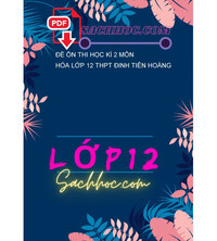 Tải Đề ôn thi học kì 2 môn Hóa lớp 12 THPT Đinh Tiên Hoàng