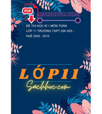 Tải Đề thi học kì 1 Môn toán lớp 11 trường THPT Gia Hội - Huế 2009 - 2010