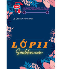 Tải Đề ôn tập tổng hợp