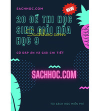 Tải 20 đề thi học sinh giỏi hóa học 9 - Có đáp án và giải chi tiết