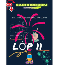 Tải Bài Tập Đọc Hiểu HK2 Ngữ Văn Lớp 11