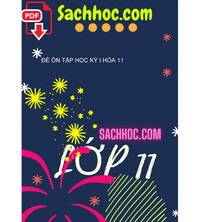 Tải Đề ôn tập học kỳ I Hóa 11