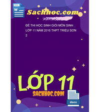 Tải Đề thi học sinh giỏi môn Sinh lớp 11 năm 2016 THPT triệu sơn 2