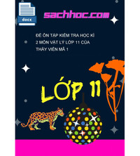 Tải Đề ôn tập kiểm tra học kì 2 môn Vật lý lớp 11 của thầy viên mã 1