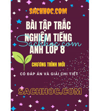 Tải Bài tập trắc nghiệm tiếng anh lớp 8 - Chương trình mới (Có đáp án và giải chi tiết)