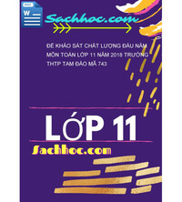 Tải Đề khảo sát chất lượng đầu năm môn toán lớp 11 năm 2018 trường thtp tam đảo mã 743