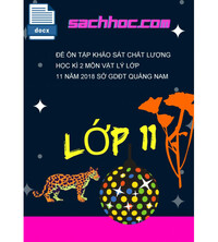 Tải Đề ôn tập khảo sát chất lượng học kì 2 môn Vật lý lớp 11 năm 2018 sở GDĐT quảng nam