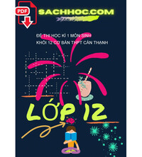 Tải Đề thi học kì 1 môn Sinh khối 12 cơ bản THPT Cần Thạnh