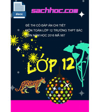 Tải Đề thi có đáp án chi tiết môn toán lớp 12 trường THPT Bắc sơn năm học 2016 mã 987