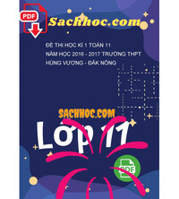 Tải Đề thi học kì 1 Toán 11 năm học 2016 - 2017 trường THPT Hùng Vương - Đăk Nông