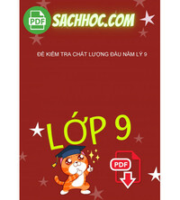 Tải Đề Kiểm Tra Chất Lượng Đầu Năm Lý 9