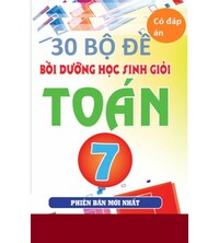 Tải 30 bộ đề thi học sinh giỏi toán 7 (có đáp án)