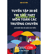 Tải Tuyển tập 30 đề thi thử THPT Quốc Gia môn Toán các trường chuyên
