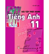 Tải Bài Tập Thực Hành Tiếng Anh 11 - Vũ Mỹ Lan