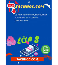 Tải Đề kiểm tra chất lượng cuối năm Toán 8 năm 2018 - 2019 sở GDĐT Bắc Ninh