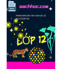 Tải Phân Dạng Bài Tập Con Lắc Lò Xo Có Đáp Án