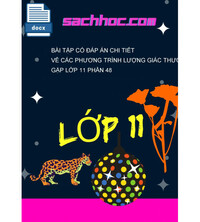 Tải Bài tập có đáp án chi tiết về các phương trình lượng giác thường gặp lớp 11 phần 48