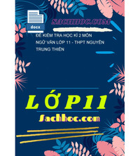 Tải Đề kiểm tra học kì 2 môn ngữ văn lớp 11 - THPT Nguyễn Trung Thiên